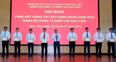 Đảng bộ Công ty Điện lực Bạc Liêu: Phát triển 42 đảng viên mới, đạt hơn 221% so với chỉ tiêu