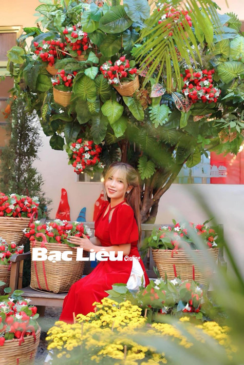 Lung linh ảnh Tết