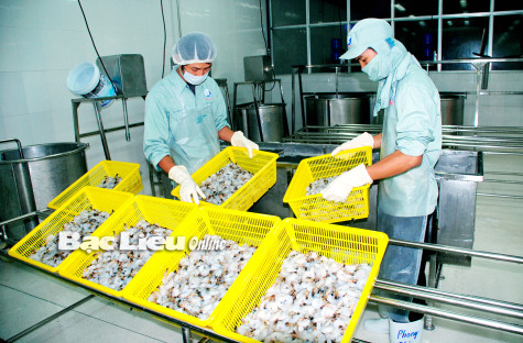 Xuất khẩu thủy sản năm 2024: Quyết tâm đạt hơn 1 tỷ USD