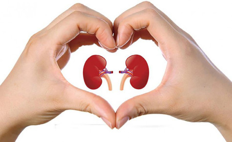 Các nguyên tắc cần nhớ để bảo vệ thận