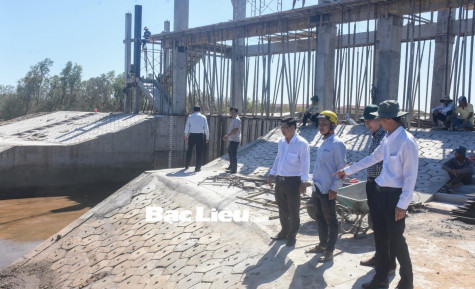 Sở NN&PTNT kiểm tra các điểm có nguy cơ sạt lở trên đê biển Đông