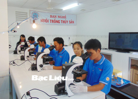 Tổng kết công tác khoa học và công nghệ năm 2023