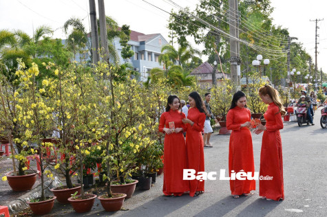 Rực rỡ sắc hoa Tết