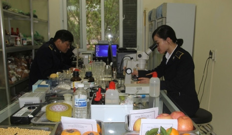 Dịp Tết Nguyên đán: Kiểm soát chặt chẽ nông sản xuất nhập khẩu