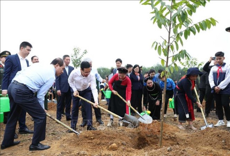 Chủ tịch nước Võ Văn Thưởng phát động Tết trồng cây “Đời đời nhớ ơn Bác Hồ” Xuân Giáp Thìn 2024 tại Tuyên Quang