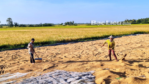 Đầu năm xông đất nhà nông: Những tín hiệu vui ​từ đồng ruộng