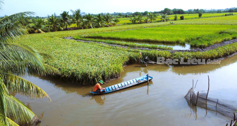 Nông nghiệp xanh làm ra sản phẩm sạch
