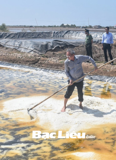 Mùa xuân trải lối...