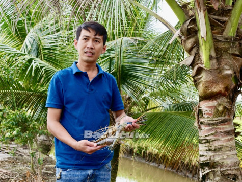 Xây dựng chiến lược cho nhãn hiệu hàng hóa