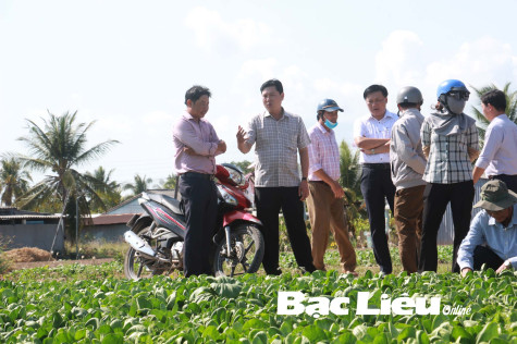 Đề án vị trí việc làm: Cơ cấu lại để nâng cao chất lượng cán bộ