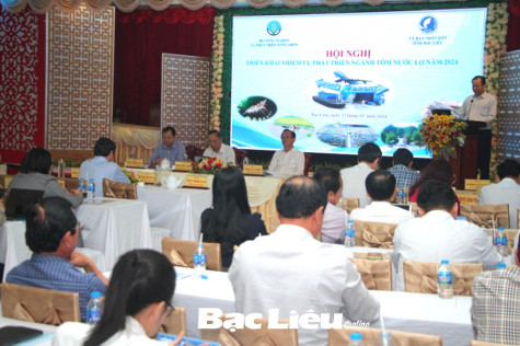Triển khai nhiệm vụ phát triển nuôi tôm nước lợ năm 2024