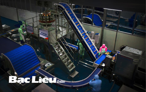 Nhiếp ảnh Bạc Liêu: Sáng tạo bằng tình cảm trách nhiệm với quê hương