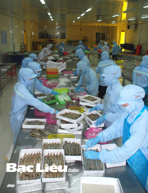 Bảo hiểm xã hội huyện Hòa Bình: Đẩy mạnh phát triển người tham gia bảo hiểm