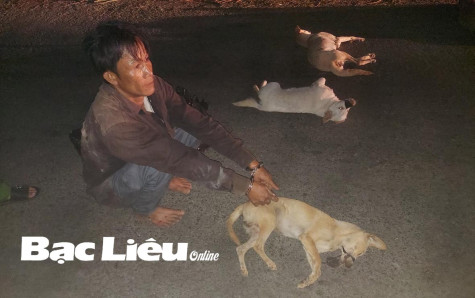 Đấu tranh phòng, chống tội phạm trộm cắp trên địa bàn tỉnh