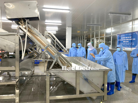 Khuyến công tạo sức bật cho công nghiệp nông thôn