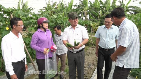 Huyện Phước Long: Nâng cao chất lượng triển khai thực hiện các chỉ thị, nghị quyết của Đảng