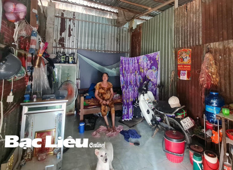 Khổ vì nắng nóng