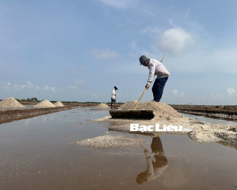 Mồ hôi mặn của diêm dân