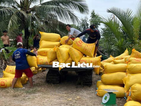 Giảm phát thải trong canh tác lúa