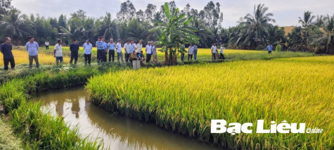 Sản xuất nông nghiệp theo hướng thuận thiên