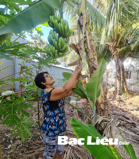 Tăng thu nhập từ mô hình ao, vườn