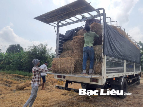 Nông dân có thêm nguồn thu từ rơm rạ