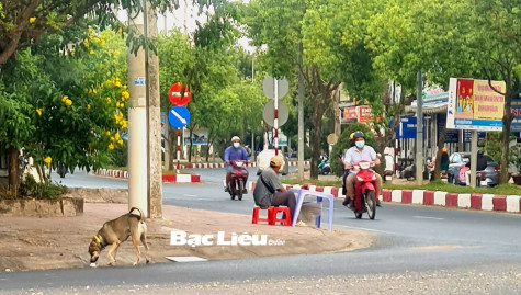 Không chủ quan, lơ là với bệnh dại
