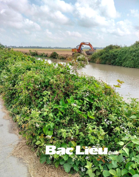 Khai thác đất mặt ruộng, bờ bao: Lợi bất cập hại