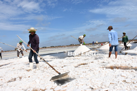 Huyện Đông Hải: Kinh tế tiếp tục tăng trưởng khá