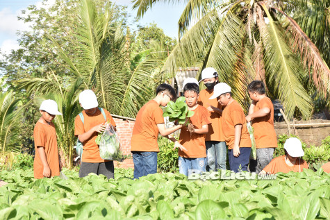 Hơn 300 học sinh Trường THCS Lê Thị Cẩm Lệ tham gia hoạt động trải nghiệm
