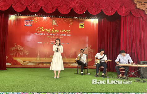 Hơn 50 thí sinh tham gia sơ tuyển cuộc thi “Bông lúa vàng năm 2024 ” tại Bạc Liêu