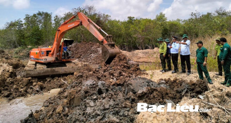 Bao ví đất rừng khiến hơn 4,2ha cây rừng bị chết