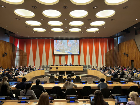 Việt Nam trúng cử Hội đồng chấp hành UN Women nhiệm kỳ 2025 - 2027