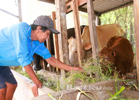 Hội viên nông dân chủ động đa dạng hóa sản xuất