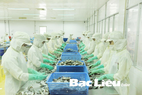 BẢO HIỂM XÃ HỘI TX. GIÁ RAI: LÀM TỐT CÔNG TÁC PHÁT TRIỂN NGƯỜI THAM GIA BẢO HIỂM VÀ THU HỒI NỢ