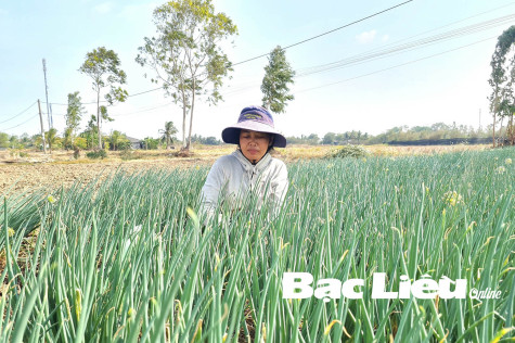 Những người mẹ Khmer nghèo quyết lòng nuôi con ăn học