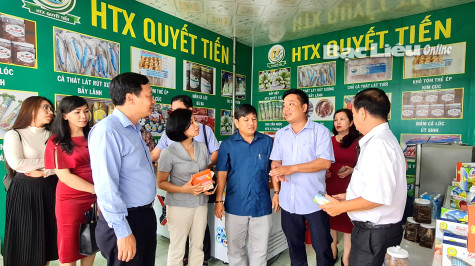 Hỗ trợ hợp tác xã nông nghiệp ​nâng cao hiệu quả hoạt động
