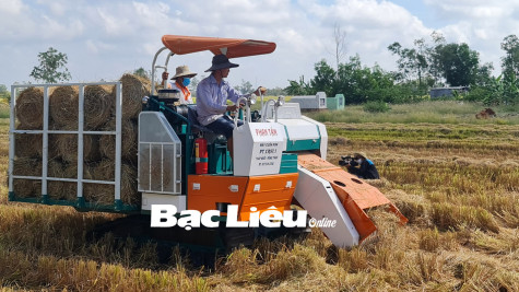 Thu nhập thêm từ​ phế phẩm nông nghiệp