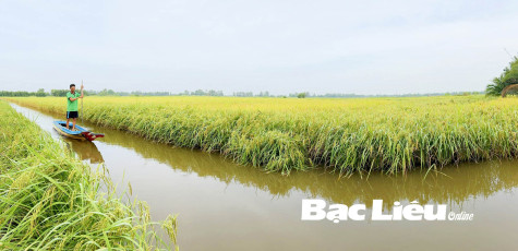 Bừng sáng những vùng căn cứ cách mạng