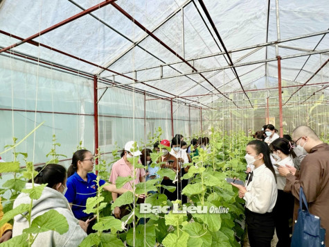 TP. Bạc Liêu: Đồng hành cùng thanh niên khởi nghiệp