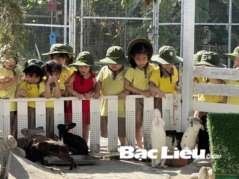 Để du khách có kỳ nghỉ lễ hài lòng, thú vị