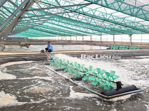 Động lực để người lao động gắn bó với doanh nghiệp
