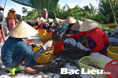 THAM GIA BẢO HIỂM XÃ HỘI TỰ NGUYỆN: LỢI ÍCH THIẾT THỰC