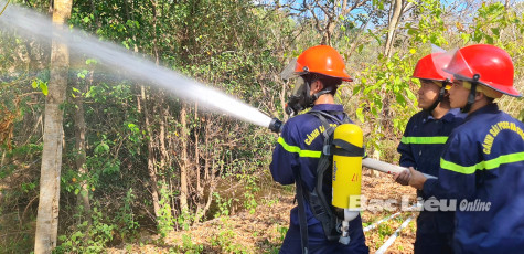 Cấp bách phòng, chống cháy rừng