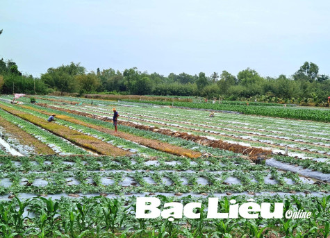 Cuộc sống đồng bào Khmer huyện Phước Long ngày càng khởi sắc