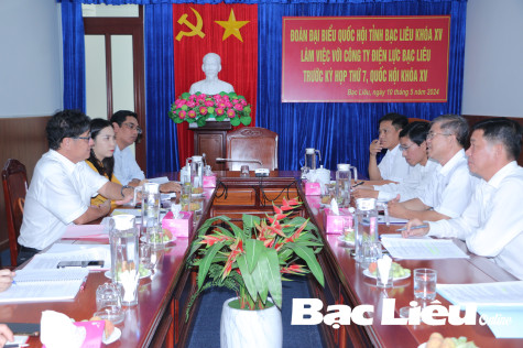 Công ty Điện lực Bạc Liêu báo cáo tình hình cung cấp điện với Đoàn ĐBQH tỉnh