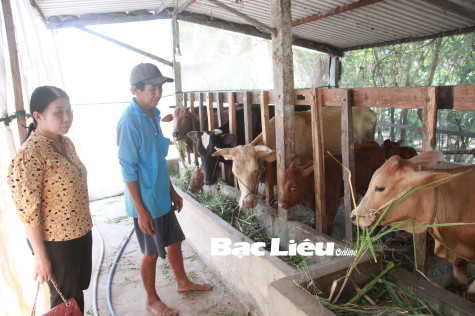 Tỉnh ủy ban hành Kế hoạch thực hiện Kết luận 61 của Ban Bí thư về Hội Nông dân Việt Nam