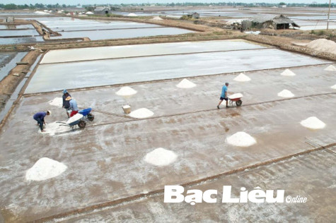 Tự tình  nghề muối