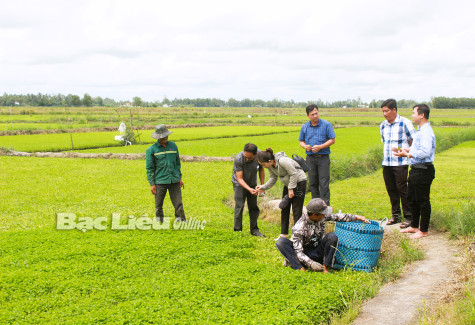 Hội Nông dân tỉnh: Nâng cao năng lực cho cán bộ cơ sở
