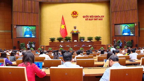 Tình trạng bạo lực trên cơ sở giới, mua bán người: Vẫn còn diễn biến phức tạp